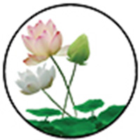 Xiaohe Display logo